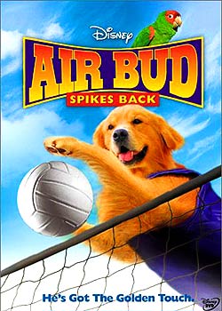 ��ȮҲ���5