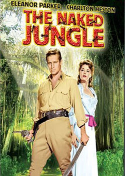 �����۱�