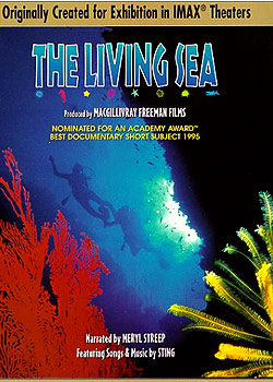 ԭɫ�-��Խ�Ӿ�2