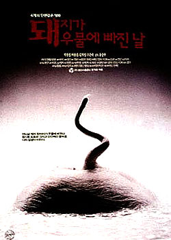 ���龮������