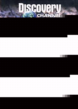 �������Դ