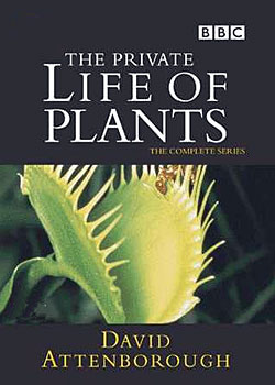 ֲ��˽���� 1