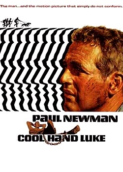 ����¬��