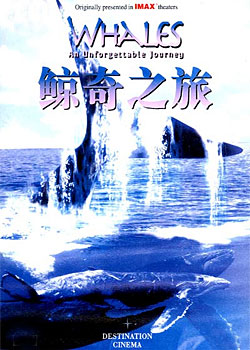 ����֮��