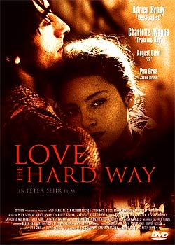 һ���ǻ���