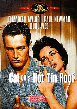 �����ɸ�