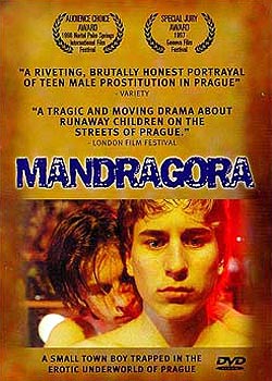 �������м�