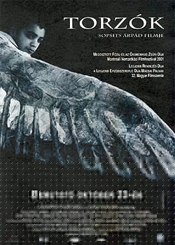 ����֮��