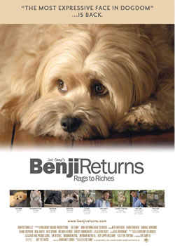 ����:Ӫ�ȴ�����!