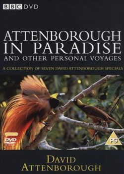 ���������Ǳ���������