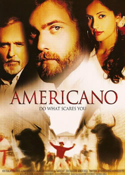 ��ʽ����