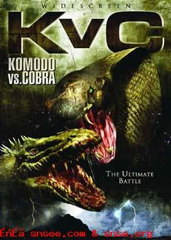 ��Ħ����VS��վ���