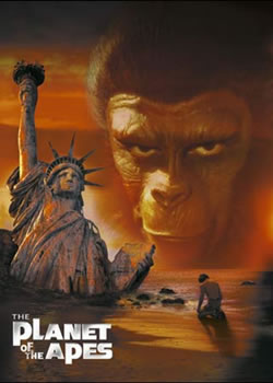 ��Գ����