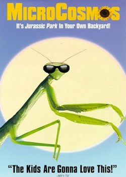 ΢������