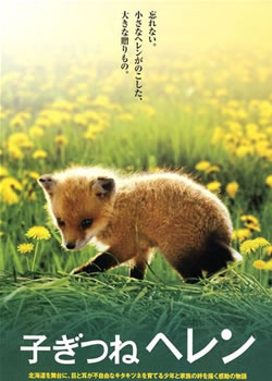 �����漣С����