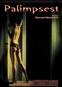 ��д����