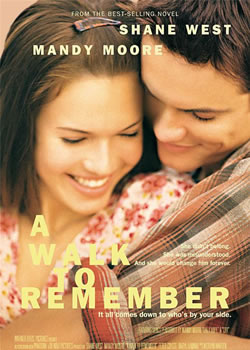 �����Ļ���