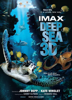 ����ĺ���