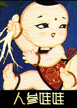 �˲�����