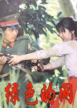 ��ɫ����