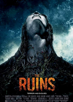 �ֲ�����