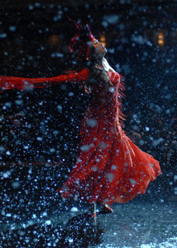 ������Ӱ