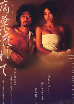 �沨�����Ĳ�Ҷ