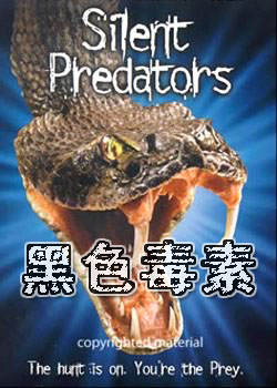 ��ɫ����2