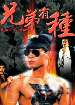 �ֵ�����