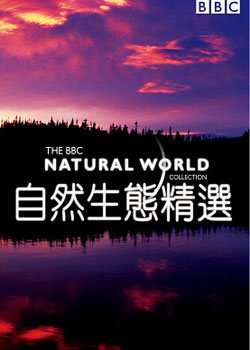 ��Ȼ��̬��ѡ