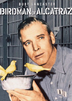 ���������ȵ�������