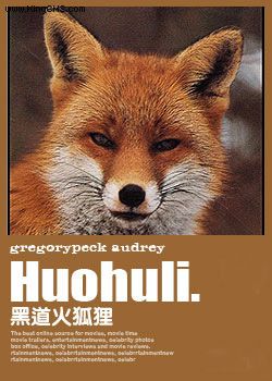 �ڵ������