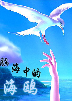 �Ժ��еĺ�Ÿ