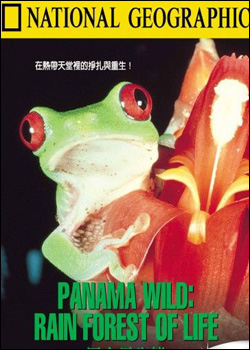 ��������̬