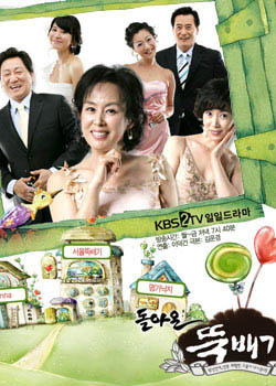 �����Ĵ�����