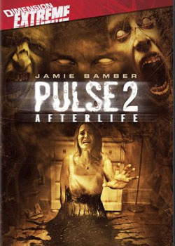 �ǹ���·2:�ֻ�����