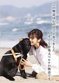 ��³�ȵ�β��