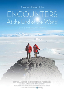 ���羡ͷ������