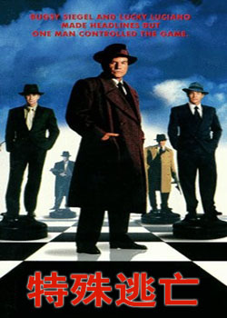 ������ڰ�����