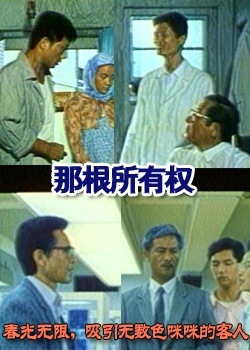 �Ǹ�����Ȩ