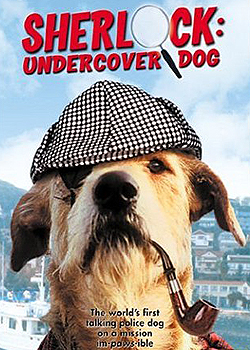 ��̽����ĦȮ