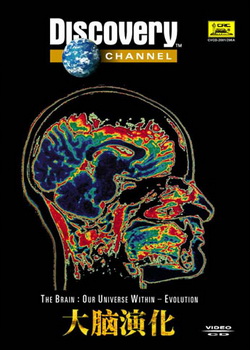 �����ݻ�