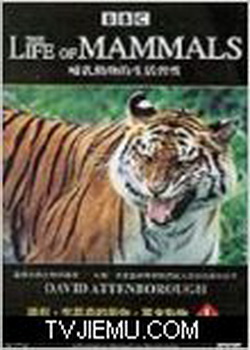 ���鶯�������ϰ��1