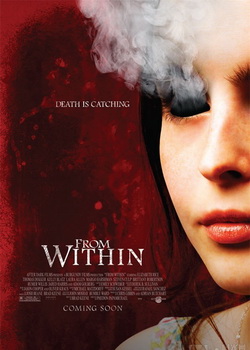 ���ڶ���