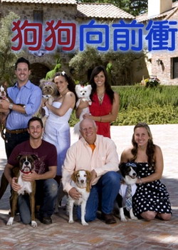 ������ǰ���һ��