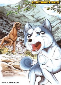 ������˵