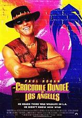 ����˵��´���ɼ��