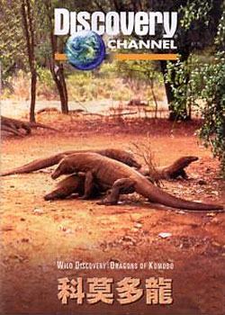 ��Ī����