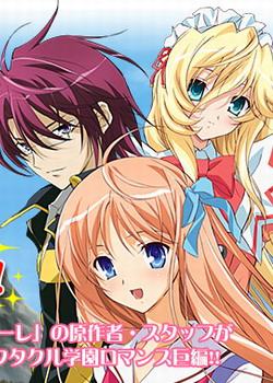 ����������Զ�����