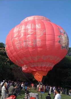 ��ţ�����